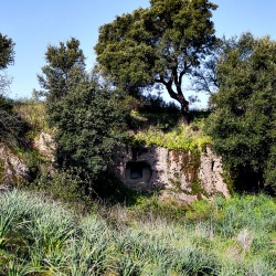 Necropoli di Monte Ruju, tomba 2a